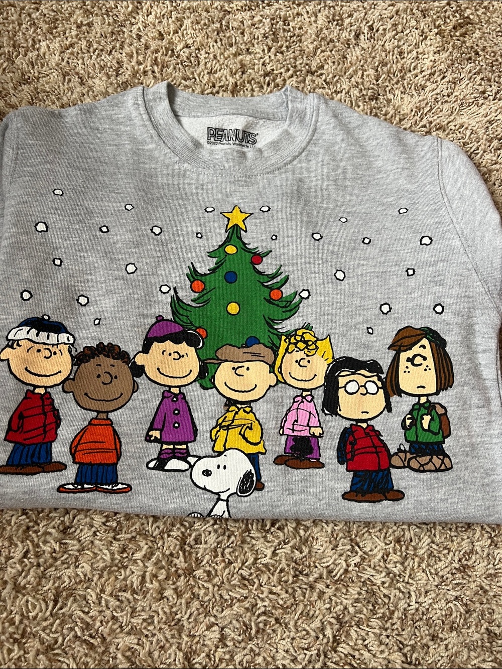 Peanuts Holiday Crewneck Sweatshirt - Light Gray with Multicolor Graphic